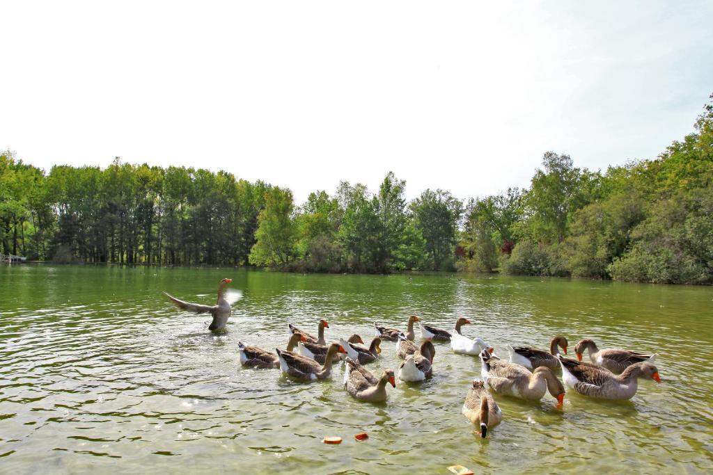 Auberge De L'Etang Bleu Vieux-Mareuil Δωμάτιο φωτογραφία