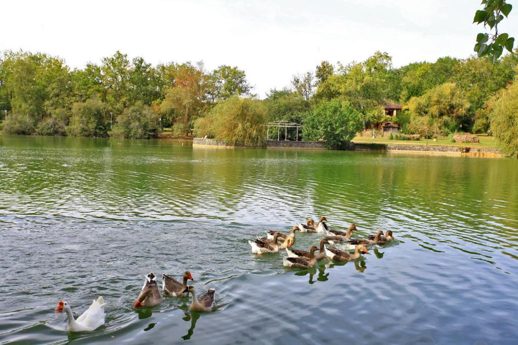 Auberge De L'Etang Bleu Vieux-Mareuil Δωμάτιο φωτογραφία